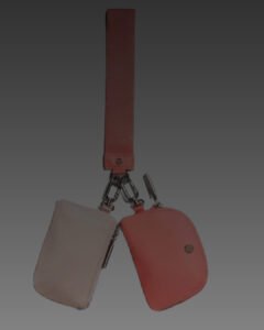 Lululemon Dual Pouch