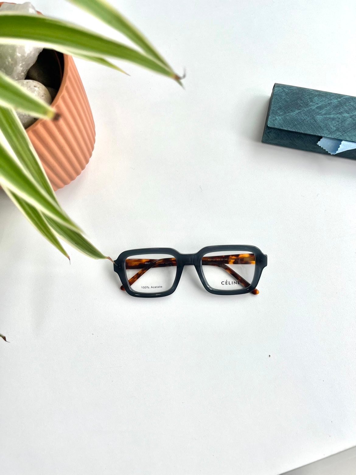 IMG_3931 Celine Frames - Image 1
