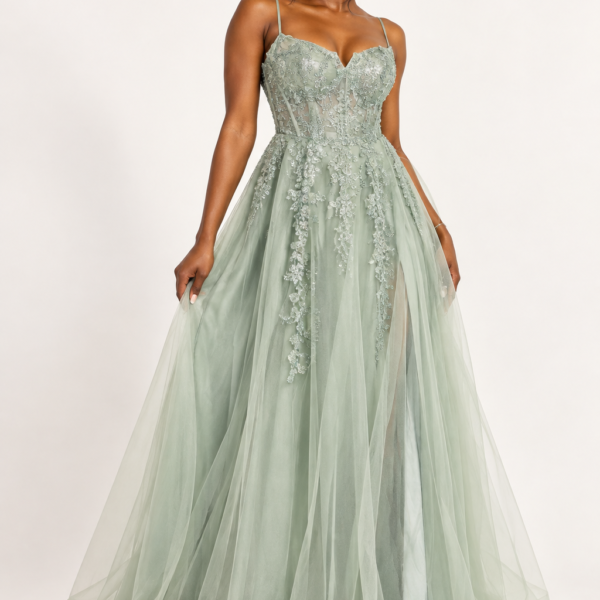 Lauren Applique Tulle Formal Gown